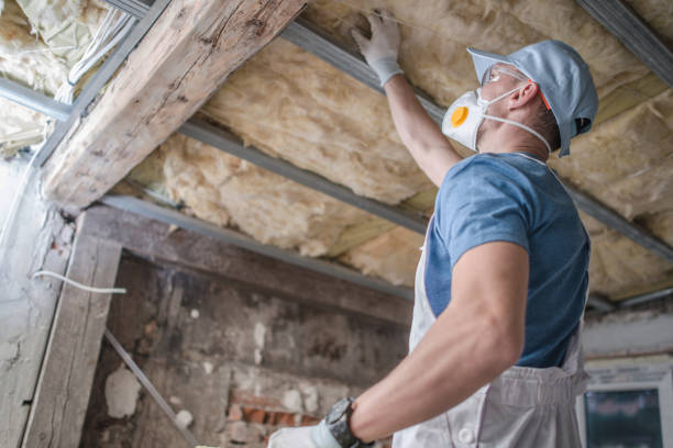 Types of Insulation We Offer in Hampton, MD