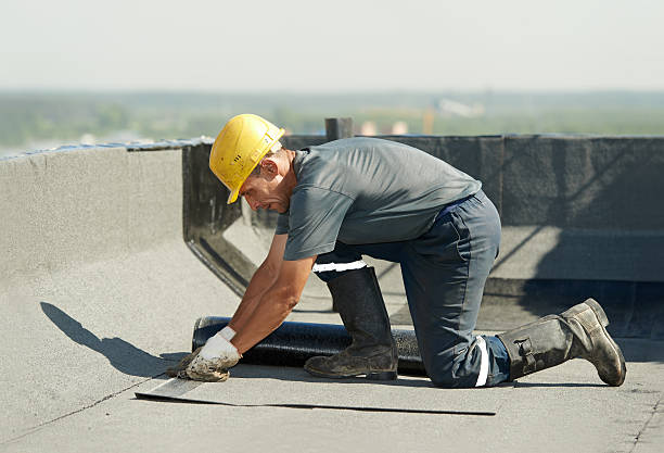 Best Eco-Friendly Insulation in Hampton, MD