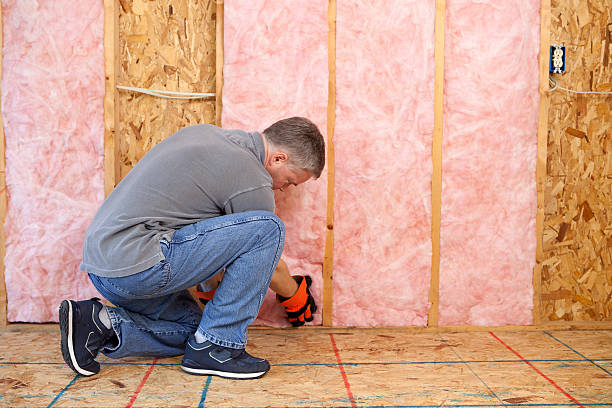 Professional Insulation Contractor in Hampton, MD