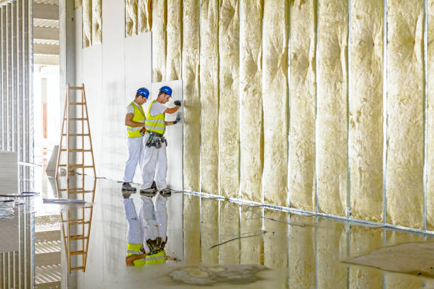 Best Fiberglass Insulation in Hampton, MD